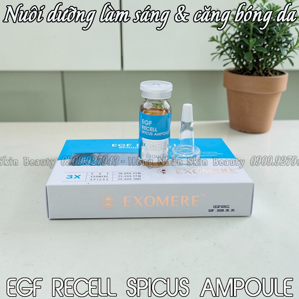 egf vi kim hn 2